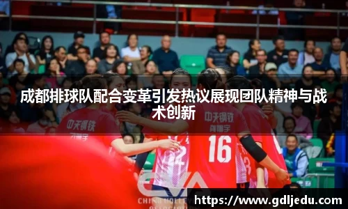 成都排球队配合变革引发热议展现团队精神与战术创新
