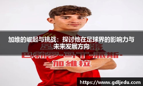乐发∨II