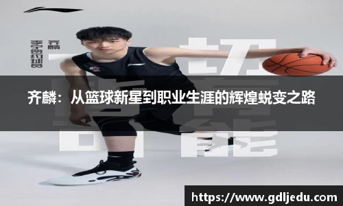 乐发∨I官网